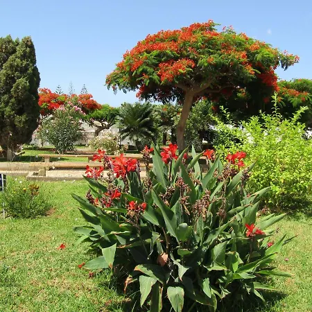 Holiday home El Saguaro